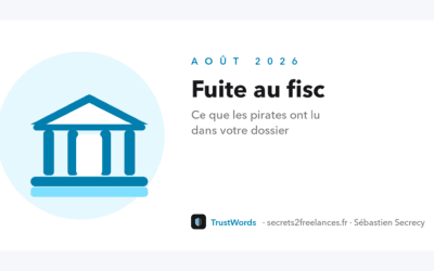 Fuite au fisc : ce que les pirates ont lu dans votre dossier, et ce qu’ils vont en faire